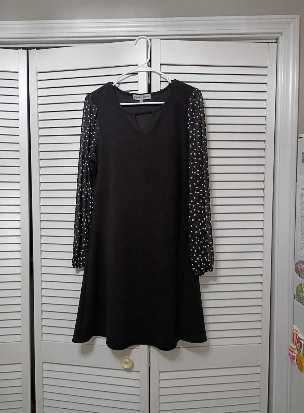 Absolutely Famous Black Dress with Sheer Polka Dot Sleeves